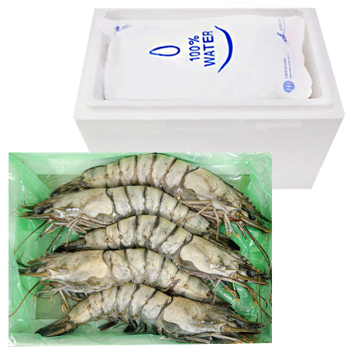 킹 블랙타이거 새우(왕새우) 500g 5미 10팩